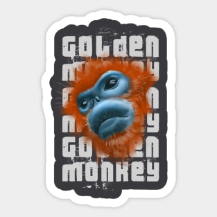 Golden Monkey Sticker